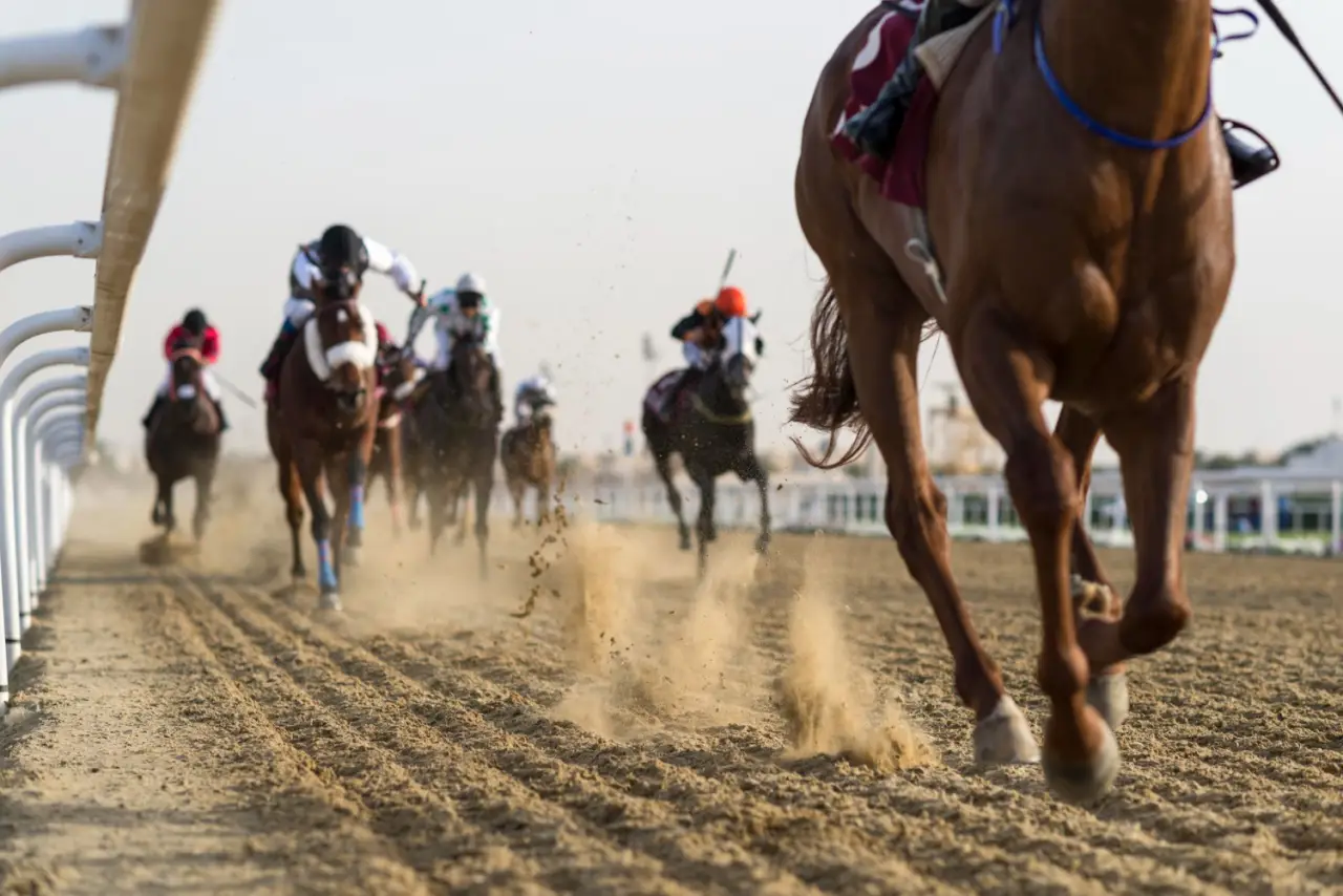 corridas de cavalos_01